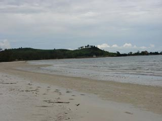 width=500