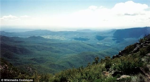 width=445