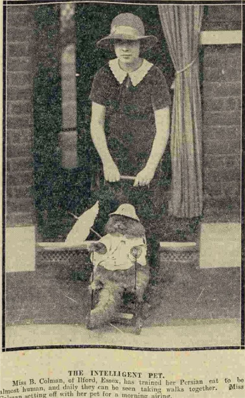 width=428