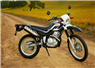 Camnews