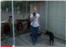 Camnews