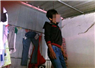 Camnews
