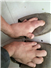 Camnews