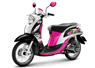 Camnews