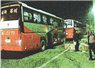 Camnews