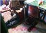 Camnews