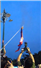 Camnews