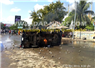 Camnews