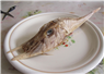 Camnews