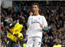 Camnews