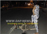 Camnews