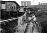 Camnews