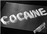 Camnews