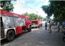Camnews