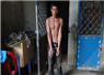 Camnews