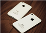 Camnews