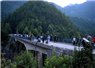 Camnews