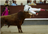 Camnews