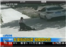 Camnews