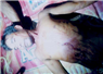 Camnews