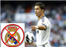 Camnews