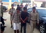 Camnews