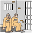 Camnews