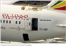 Camnews