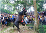 Camnews