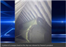 Camnews
