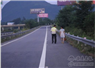 Camnews