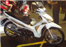 Camnews