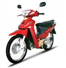 Camnews
