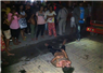 Camnews