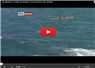 Camnews