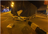 Camnews