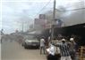 Camnews