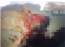 Camnews