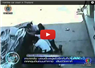 Camnews