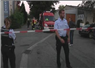 Camnews