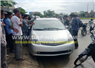 Camnews