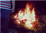 Camnews