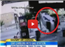 Camnews