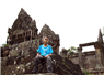 Camnews