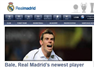 Camnews