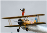 Camnews