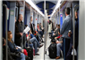 Camnews