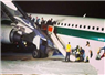 Camnews