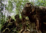 Camnews
