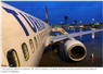 Camnews